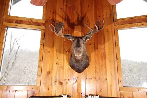 Norris Lake Villas | Bullwinkle Inn Sleeps 16 | Norris Lake Cabin Rental